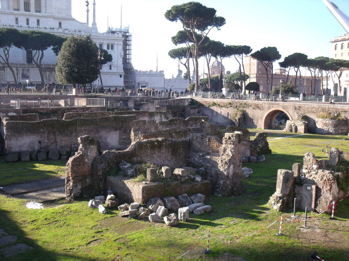 Picture 495 - roma 2015