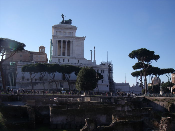 Picture 496 - roma 2015