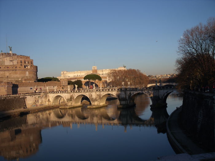 Picture 515 - roma 2015