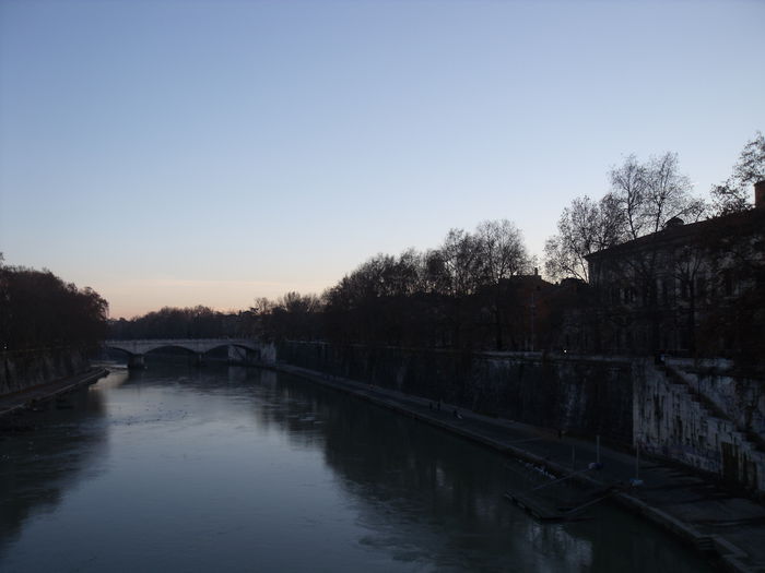 Picture 520 - roma 2015