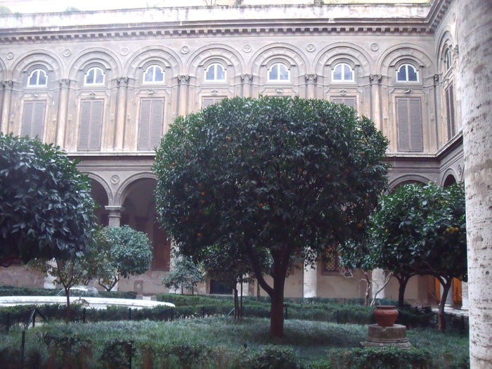 Picture 534 - roma 2015