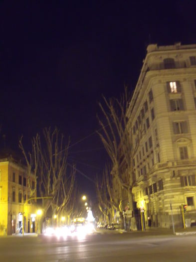 Picture 545 - roma 2015