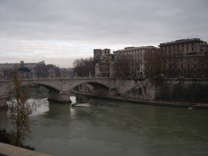 Picture 570 - roma 2015