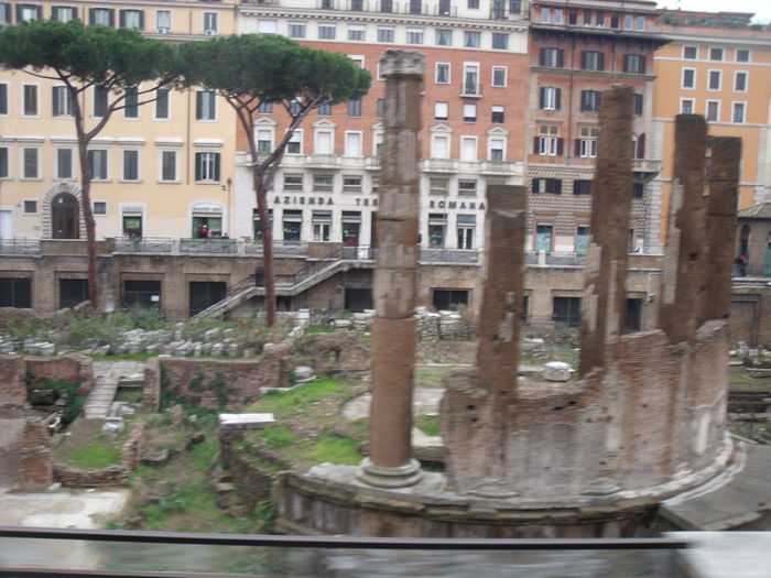 Picture 578 - roma 2015