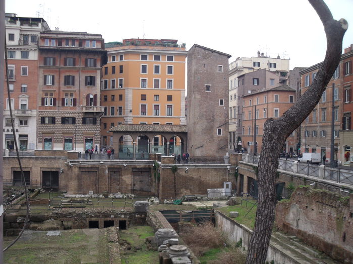 Picture 580 - roma 2015