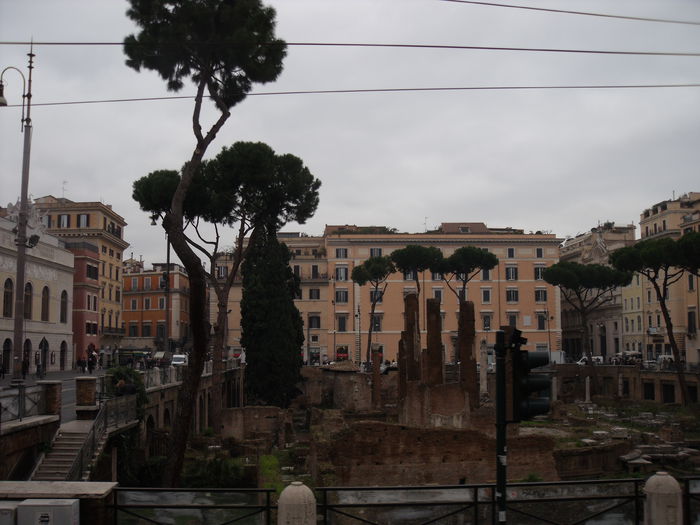 Picture 582 - roma 2015