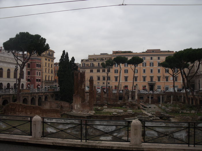 Picture 583 - roma 2015