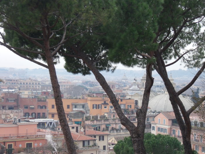 Picture 602 - roma 2015