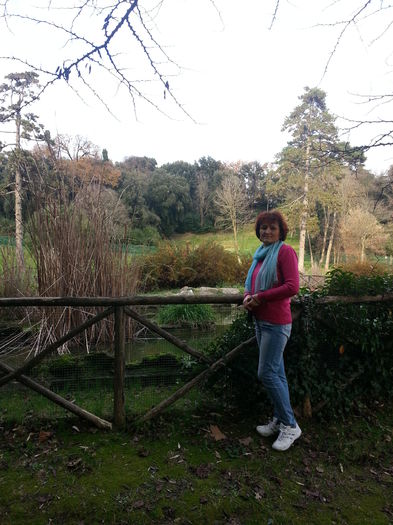 Picture 692 - roma 2015