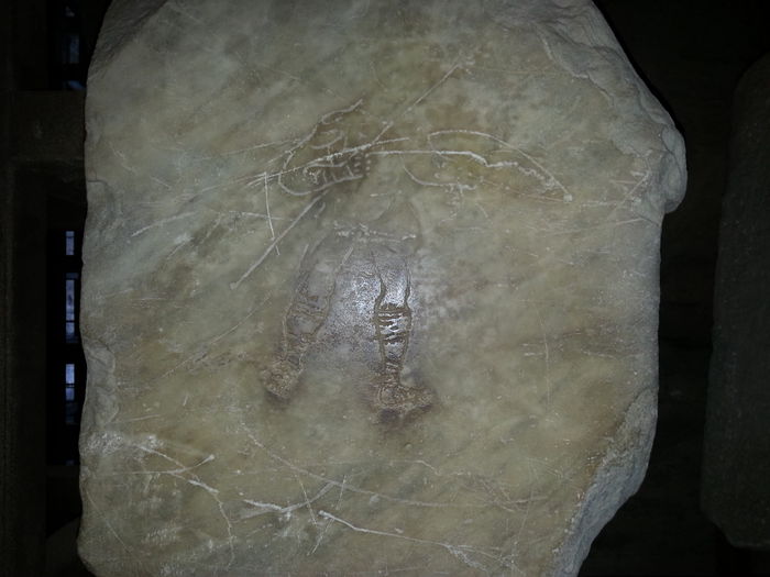 Picture 703 - roma 2015