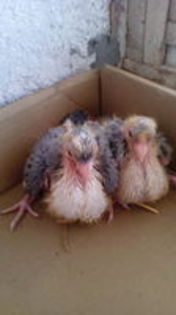 102692460_EFNOARZ3[1]