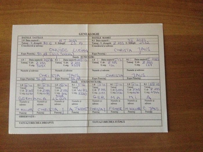 Ro 125 1520(M3); linie Heike Koller!!
