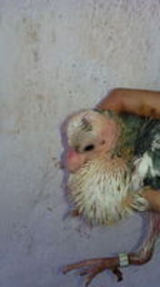 102687066_QSZILDU3[1]