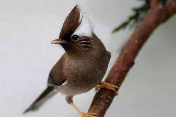  - FRUMUSETI  MONDIALE