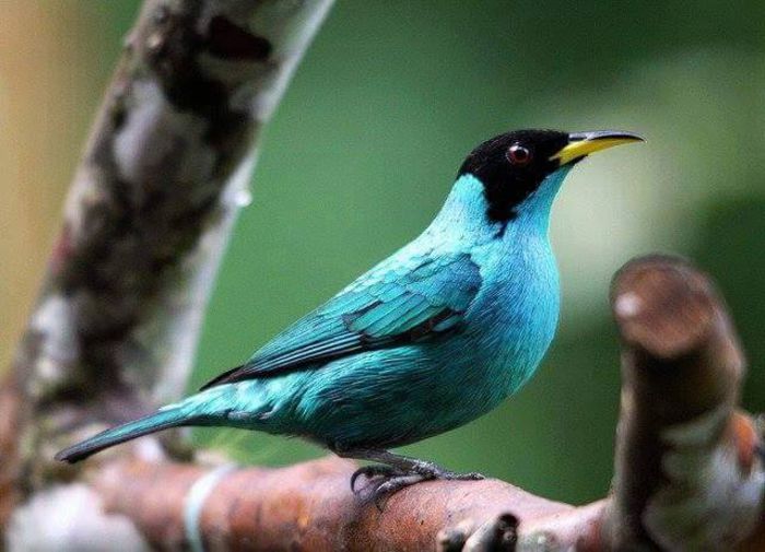  - FRUMUSETI  MONDIALE