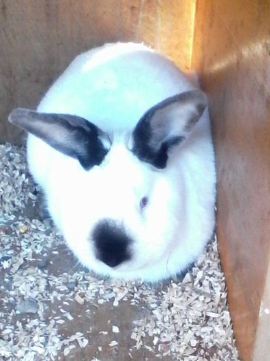 IMG_20150412_173855[1]