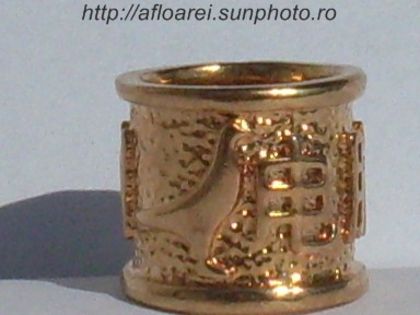 china - inele colectie-Pigeon Rings Collection