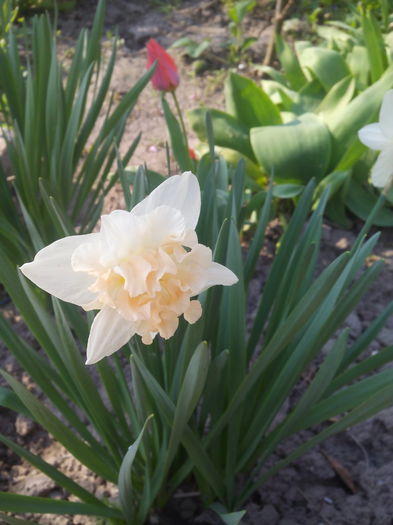 eram boboc astai fata mea