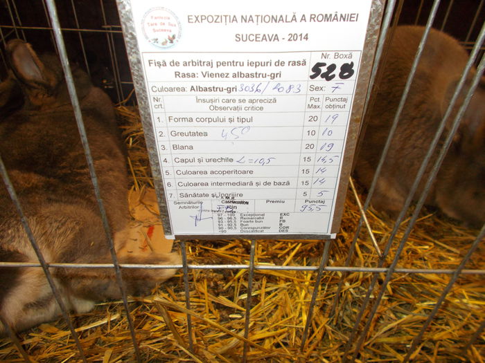 DSCN3628 - Expozitie nationala 26-30 noi 2014