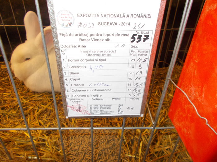 DSCN3631 - Expozitie nationala 26-30 noi 2014