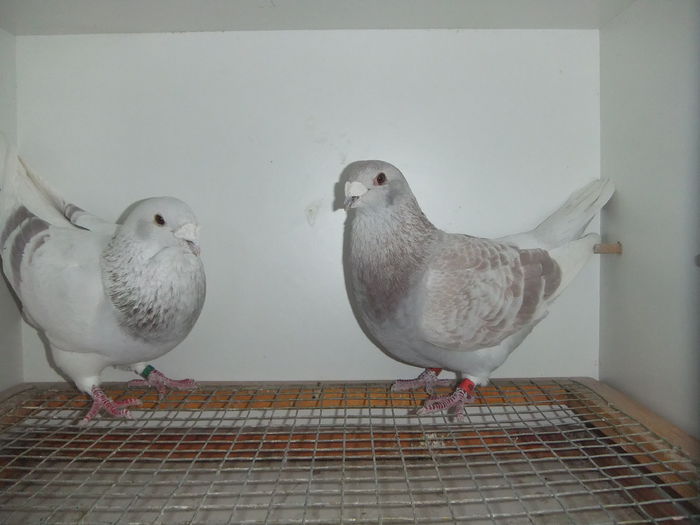DSCF9359