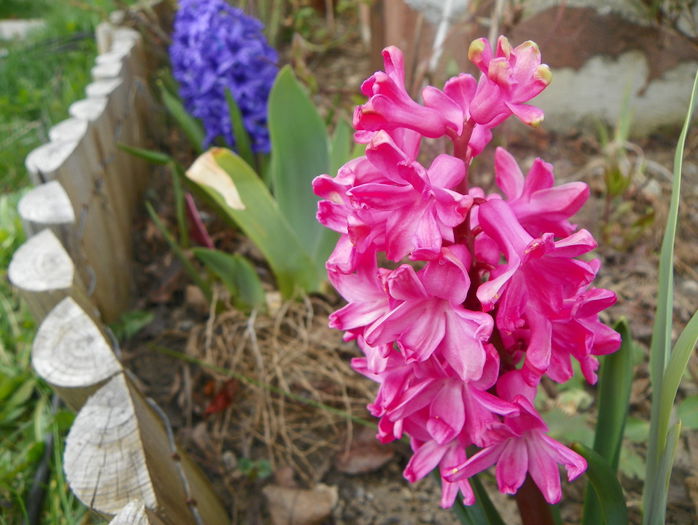 13 apr. 067 - Primavara 2015