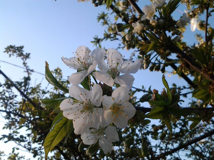 20150413_185440