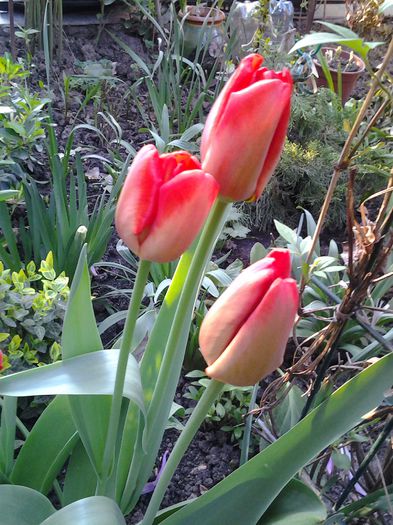 20150413_185156