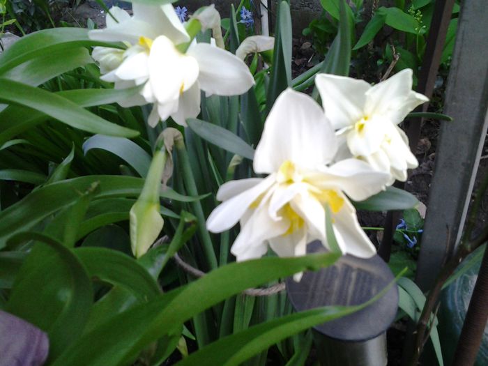 20150413_185145