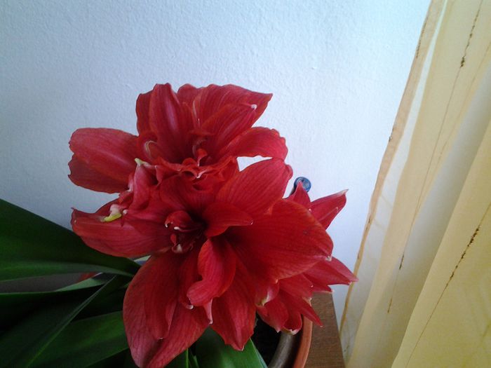 20150413_184939
