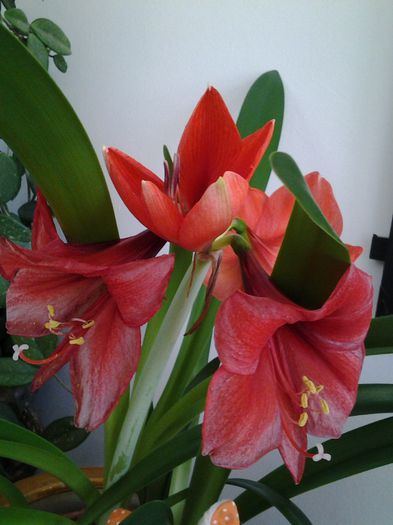 20150412_121021