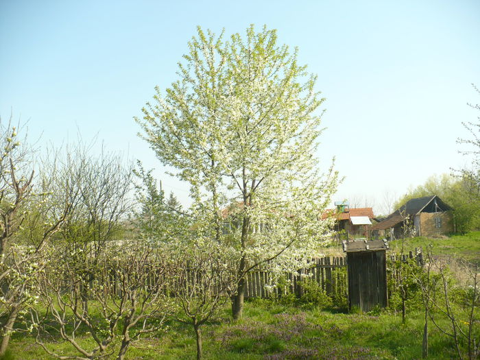 P1110934