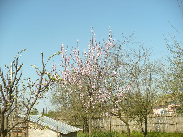 P1110935