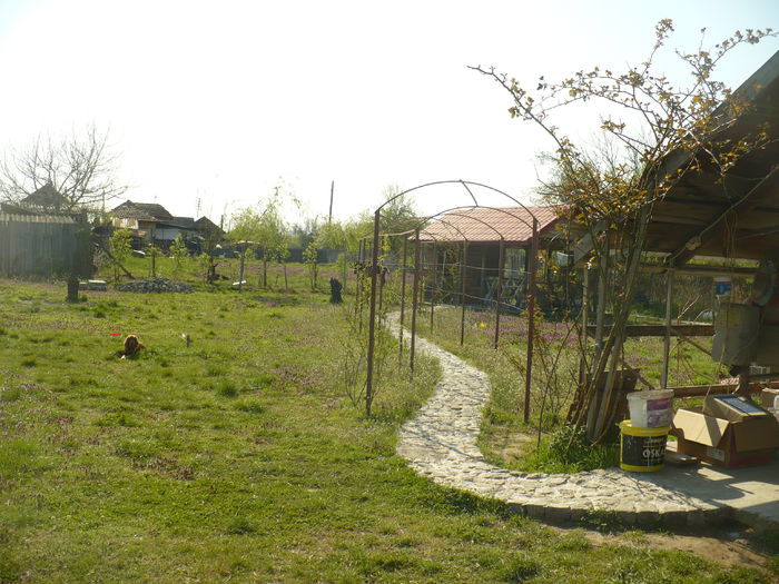 P1110942