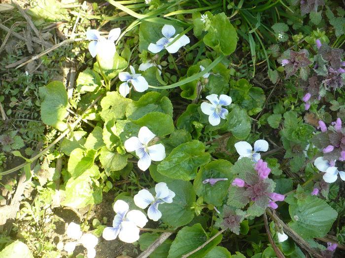 P1110944