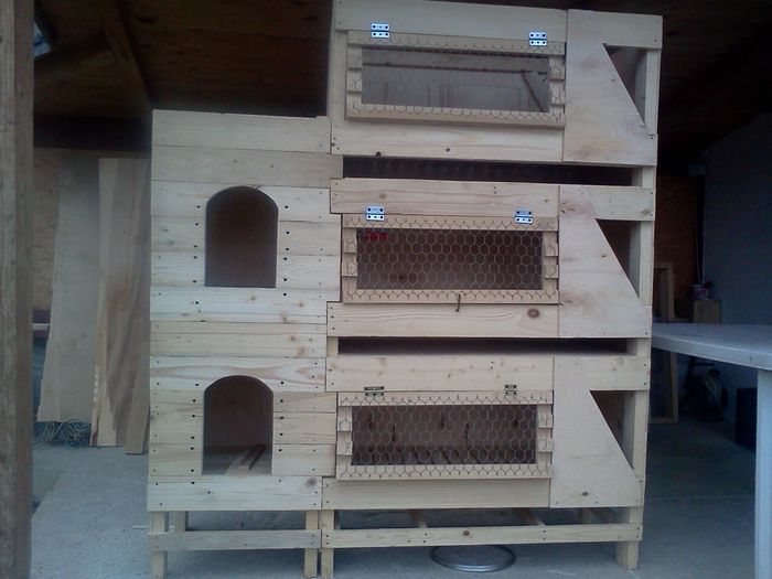 custi de iepuri in lucru