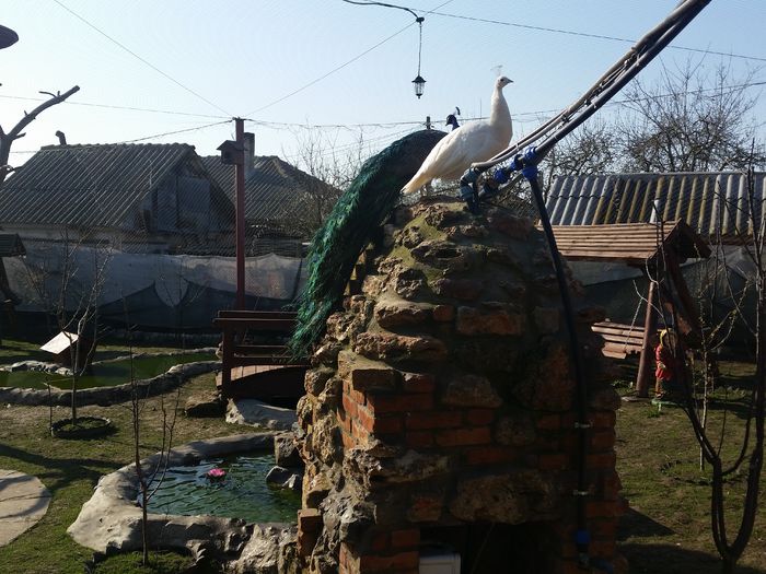 20150412_090034