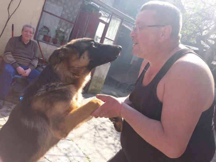 11129931_447726712050945_757594716_n