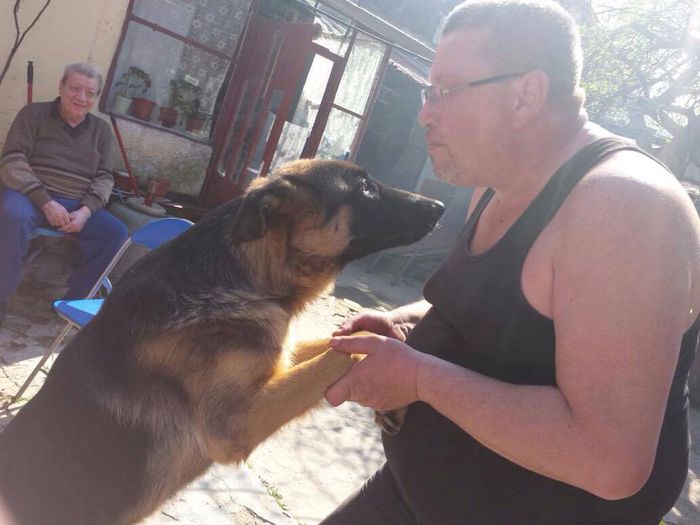 11146071_447726755384274_985365667_n