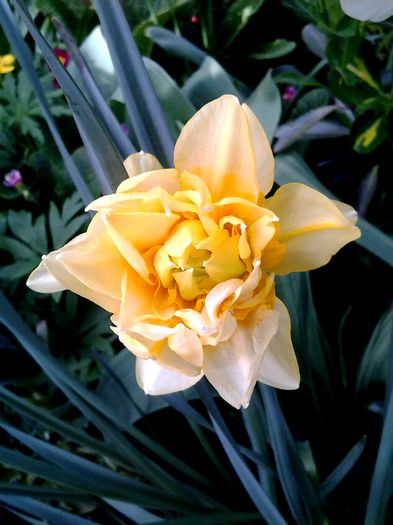 20150414_095530