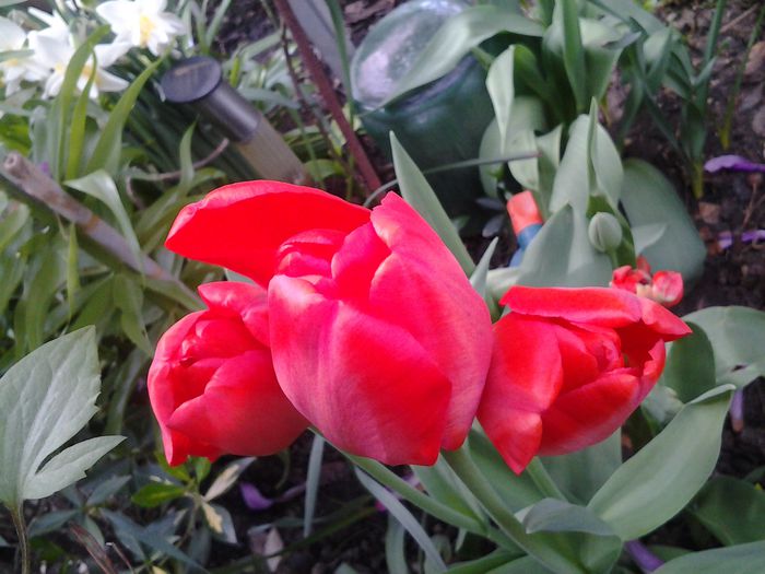 20150414_095817