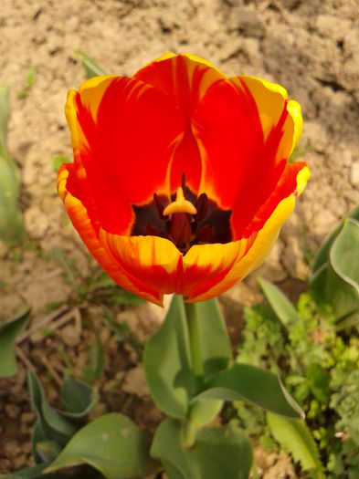 Fotografie0002