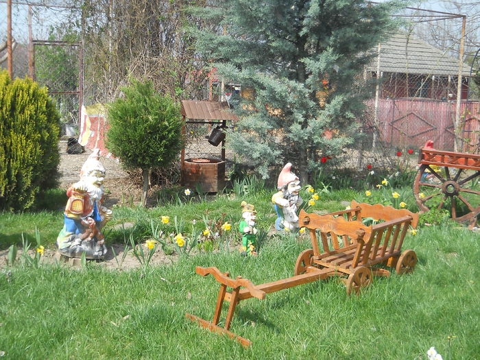 Picture 1371 - GRADINA 2015