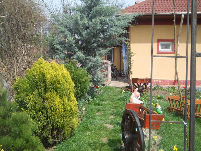 Picture 1400 - GRADINA 2015