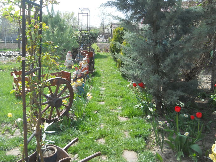 Picture 1404 - GRADINA 2015