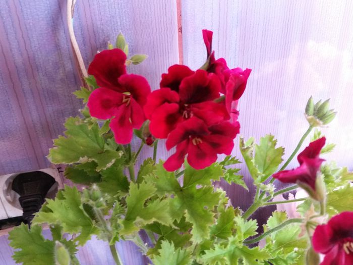 20150414_160044