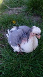 102749462_EHCAVKX3[1]