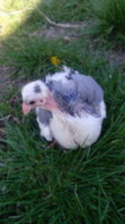 102749459_MHUIYDZ[1]