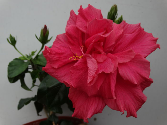 DSC09350