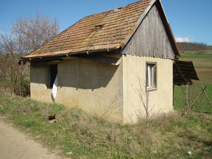 DSC00518